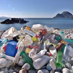 Plastic Waste | More Than 8.3 Billion Tonnes Produced So Far
